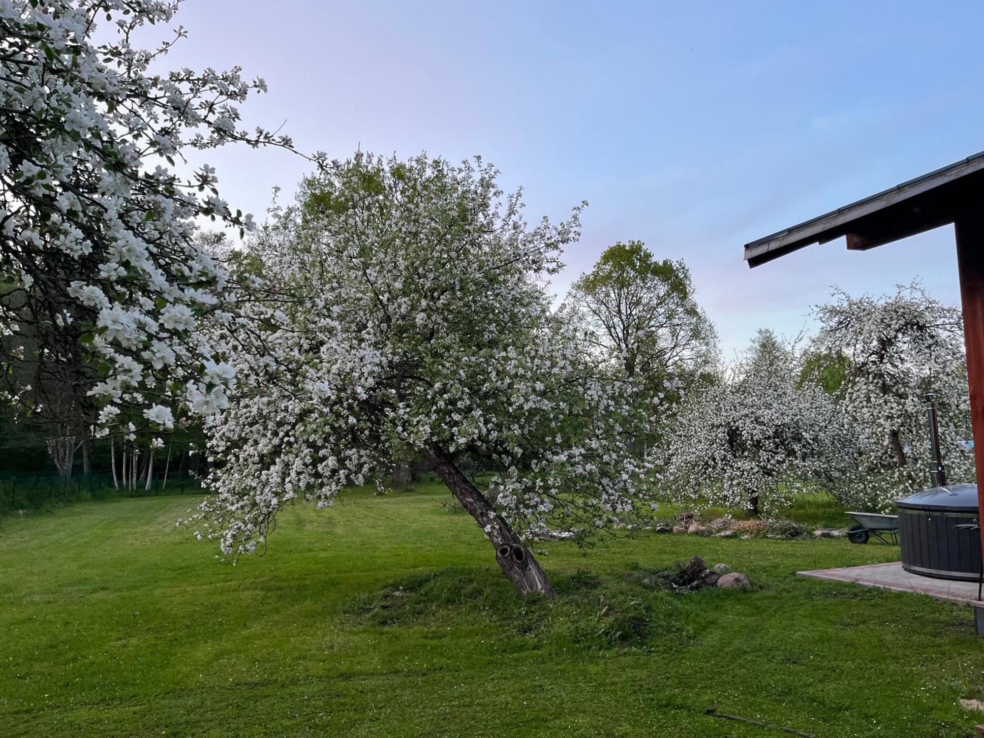 Auglu Ielas Pirts Maja Jurmala Exterior photo